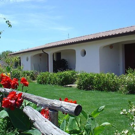 Agriturismo Mulinu Betzu San Vero Milis Ngoại thất bức ảnh